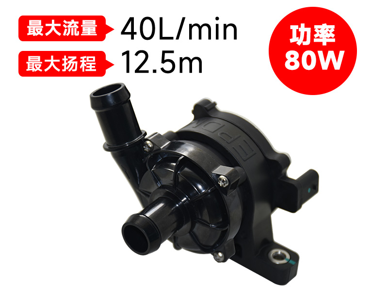 P6212汽車(chē)電子泵(12v)